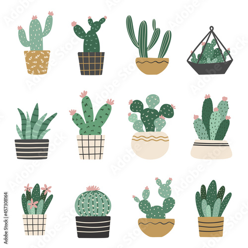 Cute vector kids clipart illustration in modern scandinavian style. Isolated cactus and succulents in plant pots.