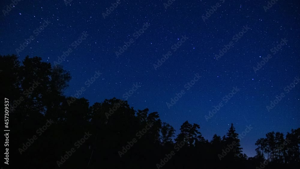Starry sky over forest.4k time lapse video. Starry sky over forest.4k time lapse video.