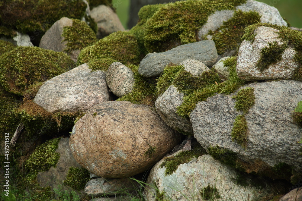 Moss on stone concept for fresh background. High quality photo
