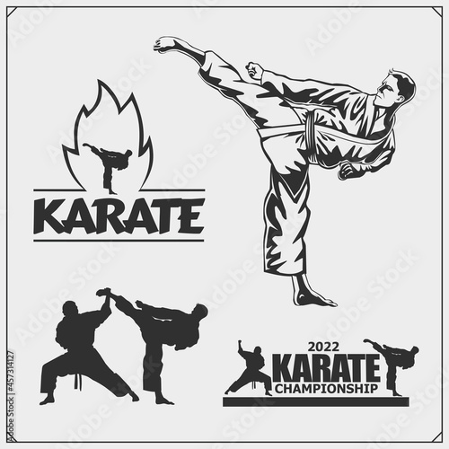 Karate club emblems, labels and design elements. Print design for t-shirt.