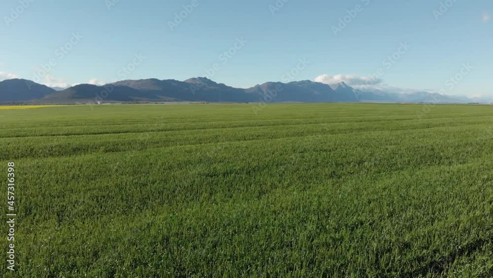 General view of wind turbines in countryside landscape with cloudless sky General view of wind turbines in countryside landscape with cloudless sky