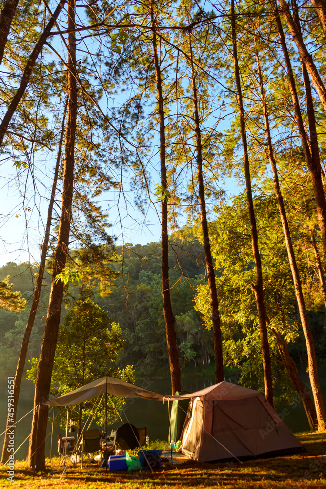 Beautiful landscape camping in pine forest trees at Pang-Ung, Mae Hong Son, Thailand. Beautiful landscape camping in pine forest trees at Pang-Ung, Mae Hong Son, Thailand.