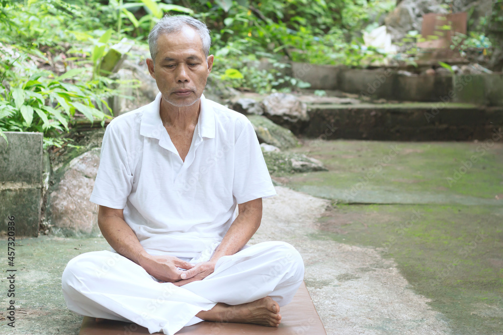 Elderly man meditating on the nature in the forest . Spiritual practice against the backdrop of the forest. Elderly man meditating on the nature in the forest . Spiritual practice against the backdrop of the forest.