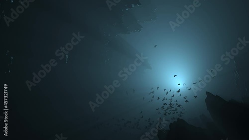 Bats flying in a cave at night
Forming a spiral of ascending bats, you can see the moon in the background, volumetric lights, particles photo