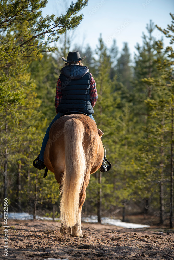 Woman horseback riding in forest Woman horseback riding in forest