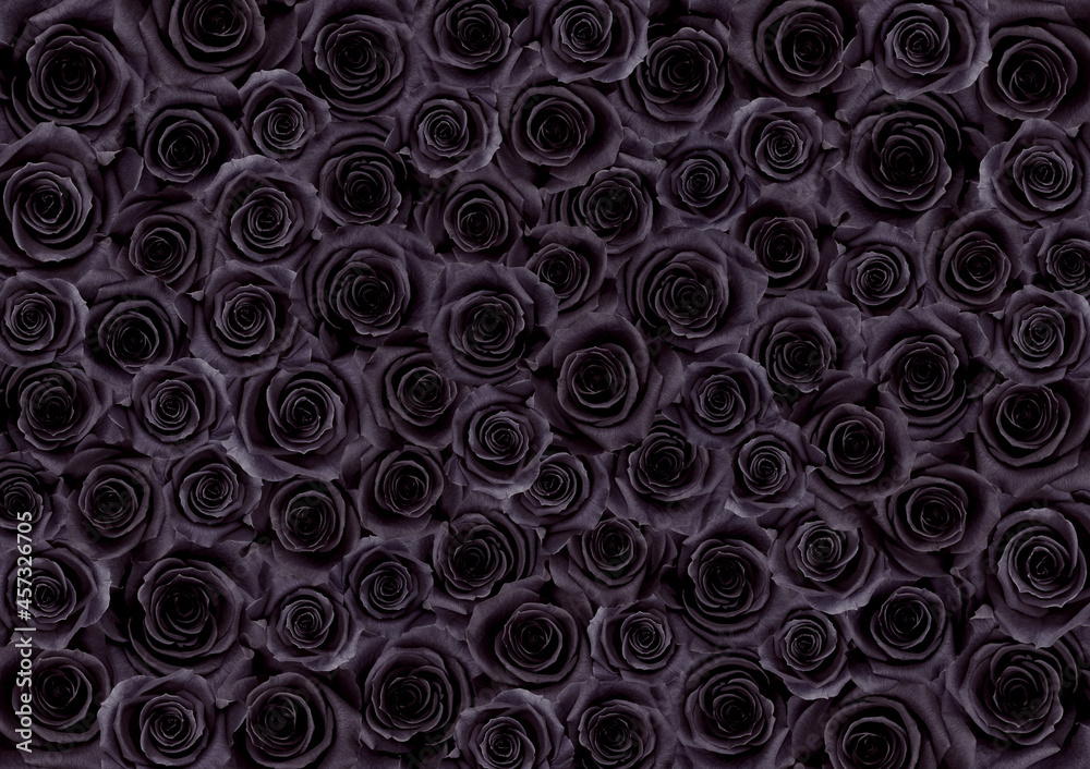 ありえない色、黒い薔薇の絨毯