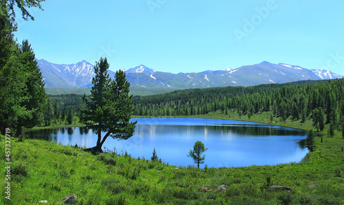 Lake Kidelyu in Altai in a mountain valley, around the lake there is a coniferous forest and green grass, two trees in the foreground, mountains with snow-capped peaks in the distance photo