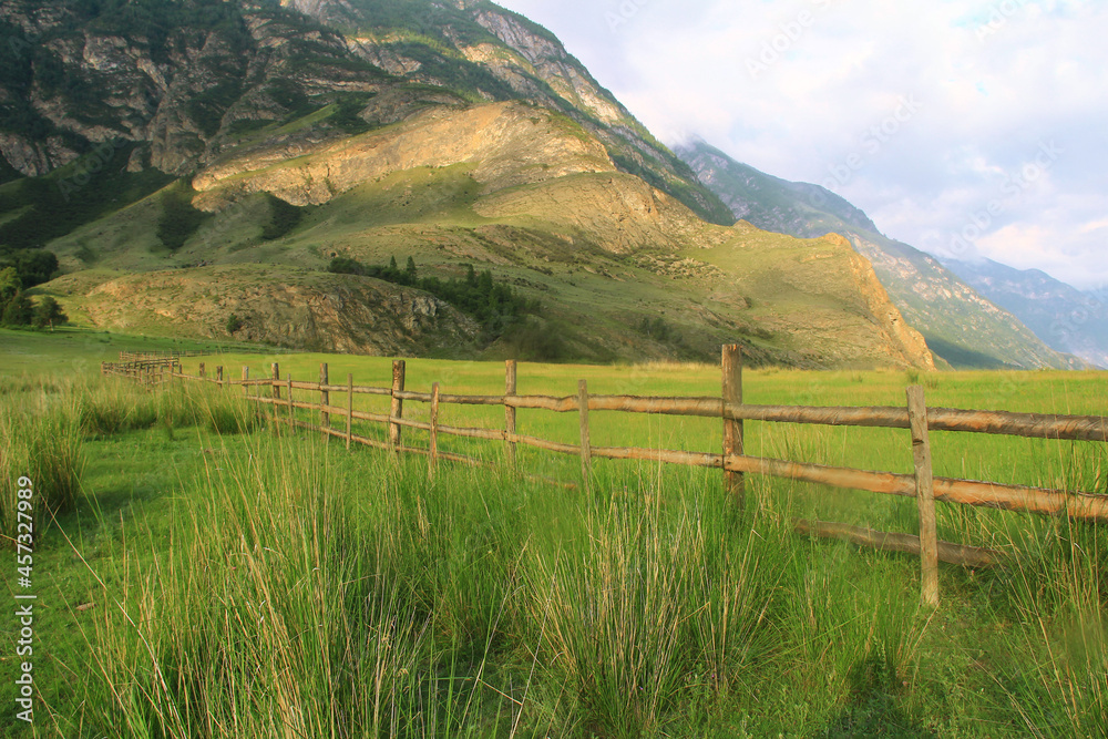 A large glade at the foot of a huge mountain with rocks in Altai, and a forest on the slopes, different grass grows in the glade and there is a wooden village fence, the sky with clouds, summer, dawn,