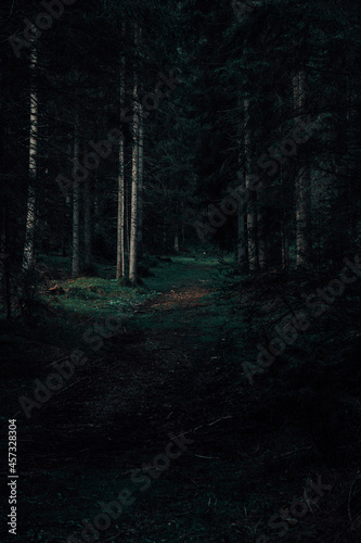 Obraz na płótnie Dark trail in a forest at night