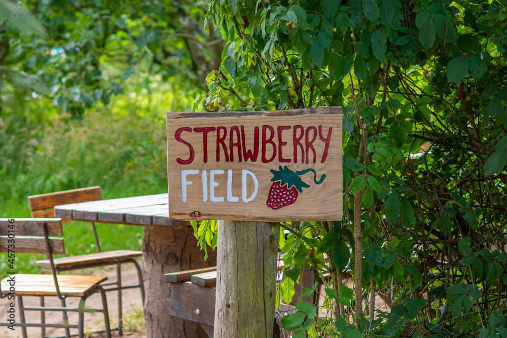 Sign for a Strawberry Field at a Pick Your Own Berry Farm