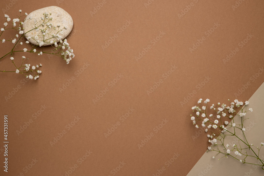 Dry flower branch and stone on a light brown background. Trend