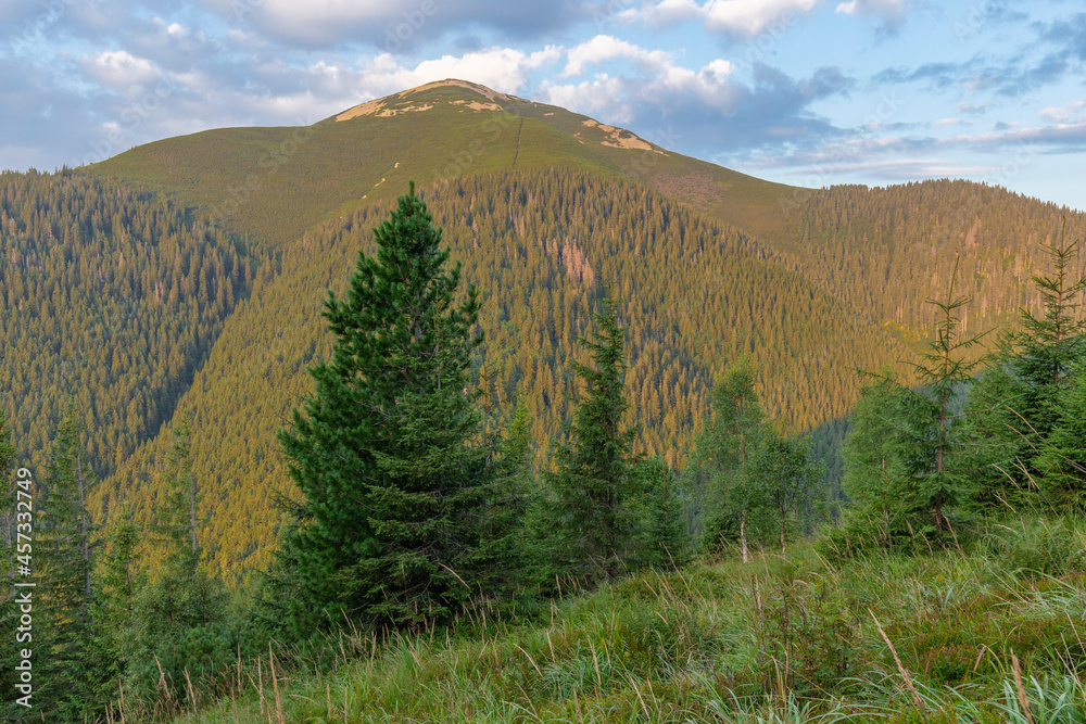 Natural landscape of the Carpathian mountains. Gorgany region, Grofa mountain, Grofa landscape reserve, Ukraine. Natural landscape of the Carpathian mountains. Gorgany region, Grofa mountain, Grofa landscape reserve, Ukraine.