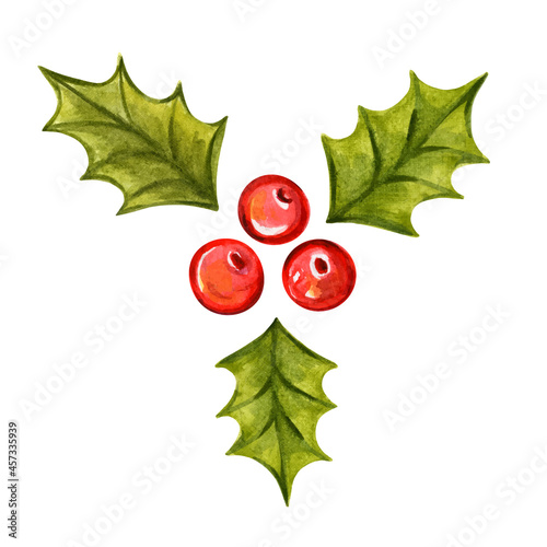Holly branch hand-drawn watercolor vector illustration. 