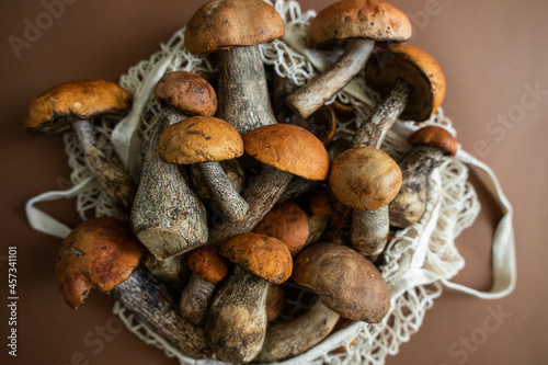 beautiful autumn mushrooms on a brown background