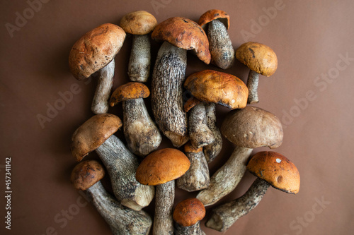 beautiful autumn mushrooms on a brown background