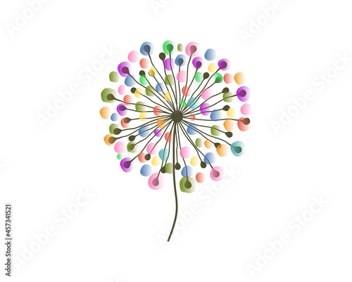 dandelion vector illustrations. beautiful dandelion flowers.