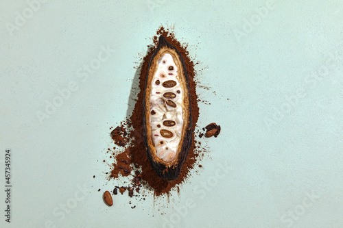 cacao cocoa plant fruit on cocoa  photo