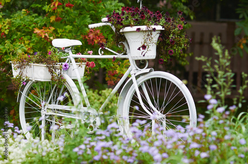 White bike in the garden among flowers. Landscaping. Garden decoration. Scenic view. Selective focus.