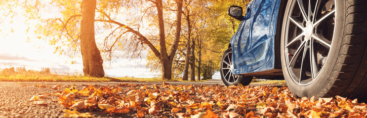 Blue car on the road in the natural park.