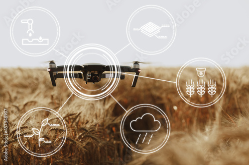 Flying drone above wheat field. Agricultural and technology innovations concept