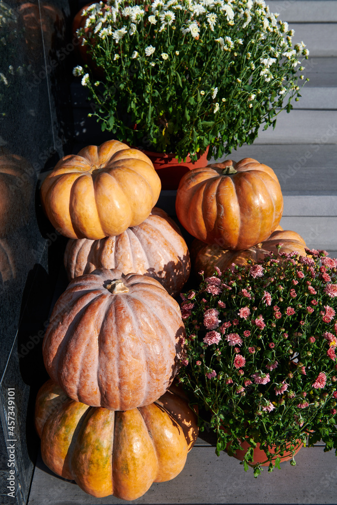 Stack of different pumpkins with flowers near the house. House decoration before Halloween and holidays. Vertical photo. Stack of different pumpkins with flowers near the house. House decoration before Halloween and holidays. Vertical photo.