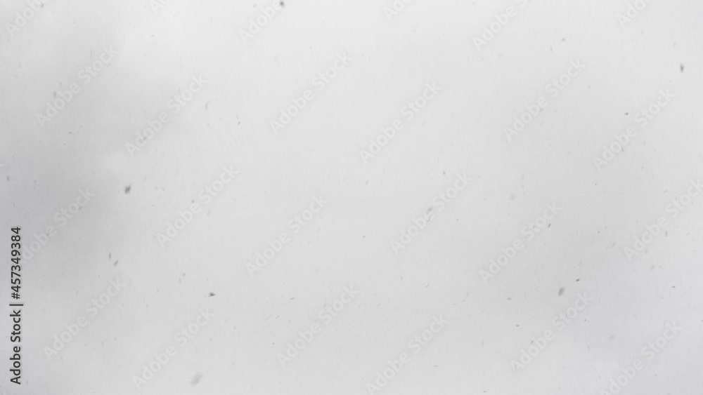 Snow falling on cloudy day, flying snowflakes visible Snow falling on cloudy day, flying snowflakes visible
