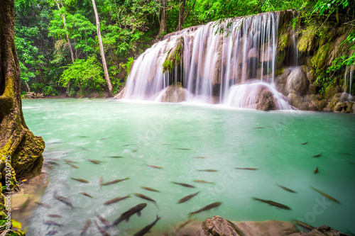 Waterfalls and fish swim in the emerald blue water in Erawan National Park. Erawan Waterfall is a beautiful natural rock waterfall in Kanchanaburi, Thailand.Onsen atmosphere. 