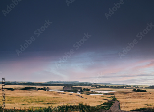 Evening Sky over wheat field