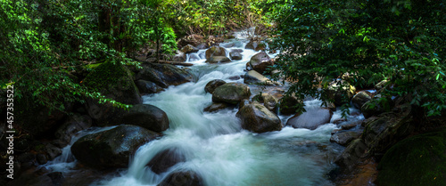 beautiful natural stream waterfall and green forest in the  mountain concept traveling and relaxing on holiday time.
