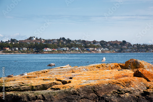 Rocky shore with birds at a modern city park, Clover Point, during sunny summer day. Victoria, Vancouver Island, British Columbia, Canada. © edb3_16