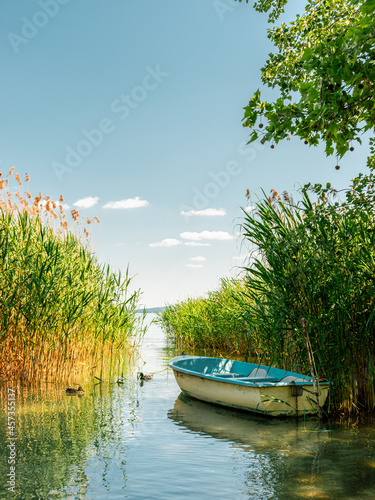 Fototapeta Naklejka Na Ścianę i Meble -  An old small boat in the reeds on the lake Balaton in summer.