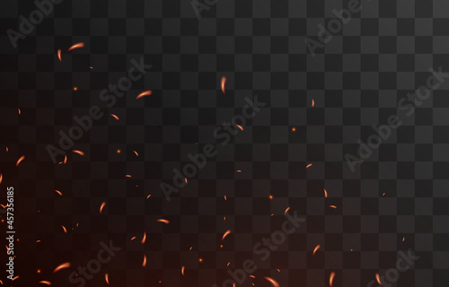 Vector fiery sparks on an isolated transparent background. Sparks png, fire png, fiery particles.