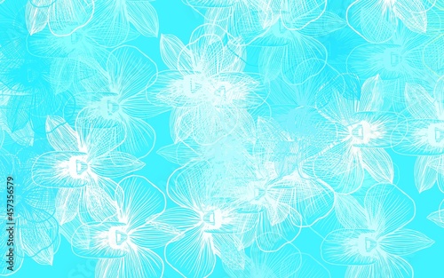 Light Blue, Green vector elegant pattern with flowers.