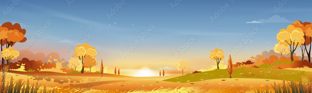 Autumn rural landscape in evening light with sunset, blue and orange sky background,Vector Cartoon fall season at countryside with forest tree and grass field with sunrise,Backdrop natural