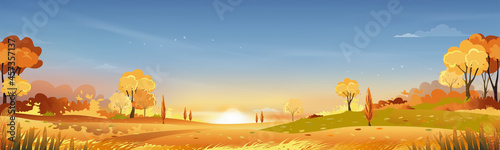 Autumn rural landscape in evening light with sunset  blue and orange sky background Vector Cartoon fall season at countryside with forest tree and grass field with sunrise Backdrop natural