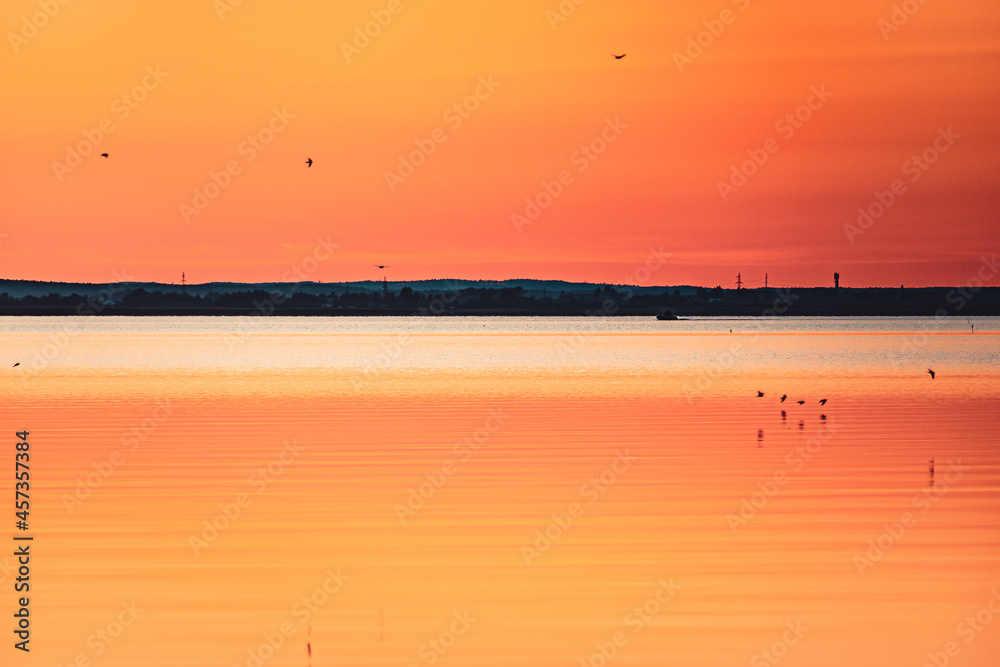 sunset on the lake and birds