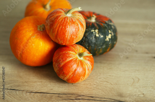 autumn still life ripe orange pumpkin