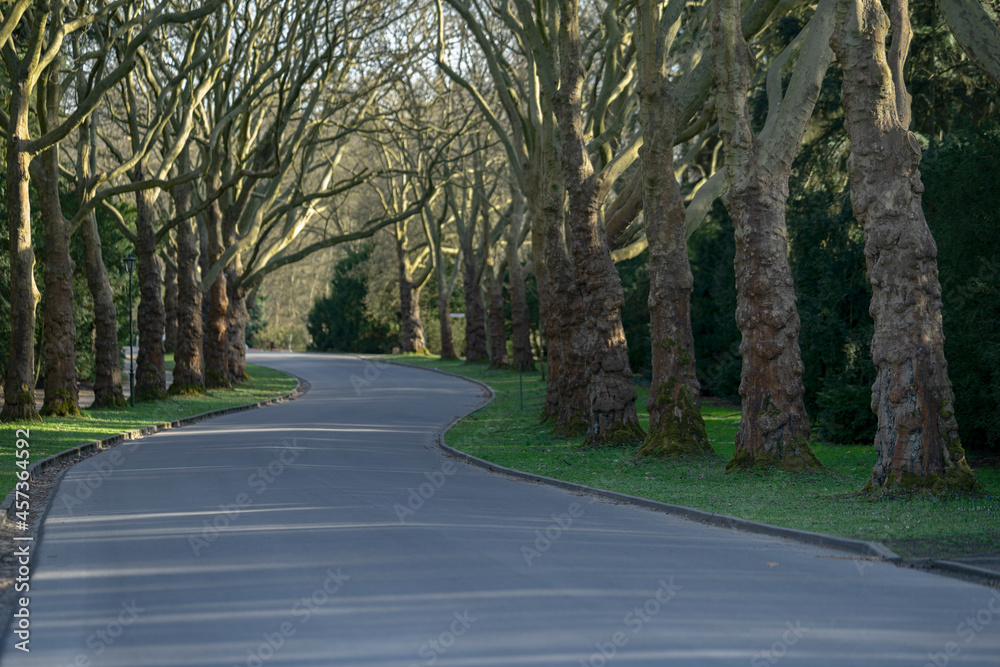 Fototapeta premium road to nowhere