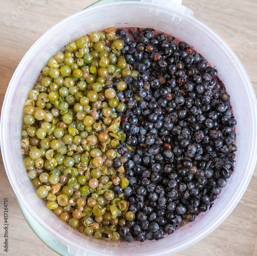 Grape pulp for winemaking