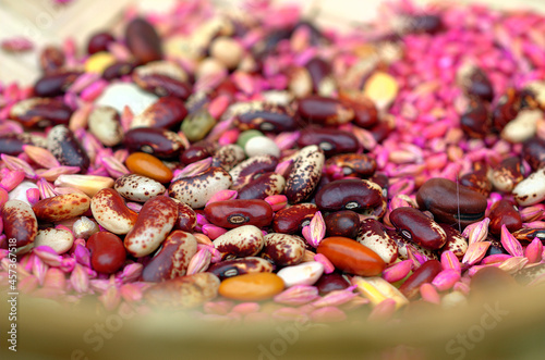 Granos
Grains