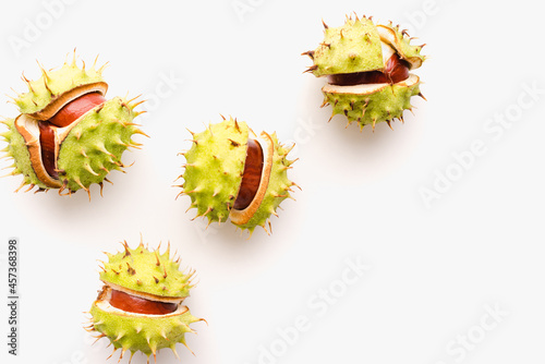Chestnuts fruits on a white background. Ripe chestnuts. Cracked chestnuts. 