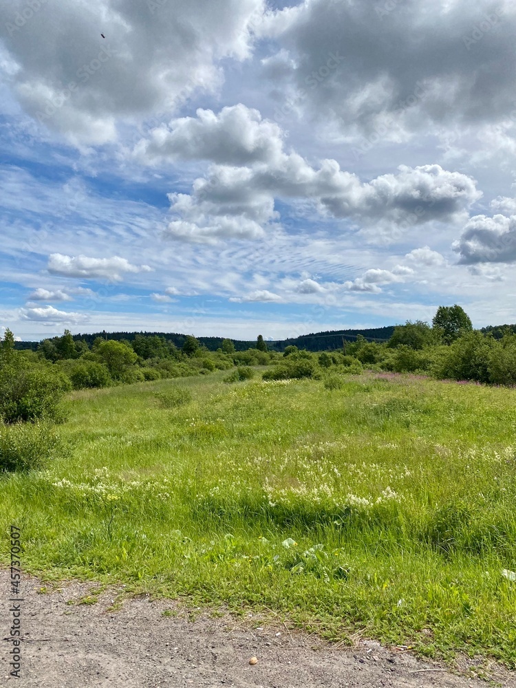 Fototapeta premium Deserted path in the summer forest, blue sky, green grass, trees