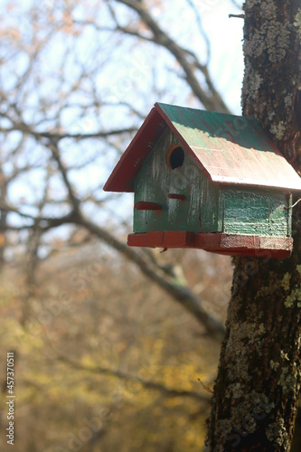Wooden birdhouse on a tree. Selective focus.