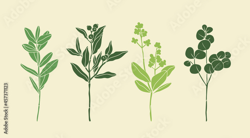 Set of four various Branches with Leaves and Berries. Abstract elegant floral drawing. Hand drawn trendy Vector illustration. All elements are isolated. Perfect For your own decoration or design