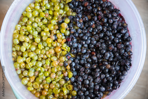 Grape pulp of red wine from a dark grape variety