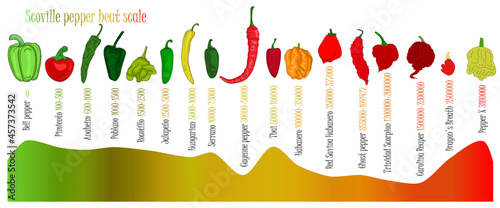 Scoville pepper heat scale. Pepper illustration from sweetest to very hot on color background.