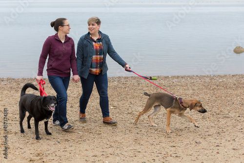 Same sex female couple holding hands walking dogs on Cape Cod beach photo