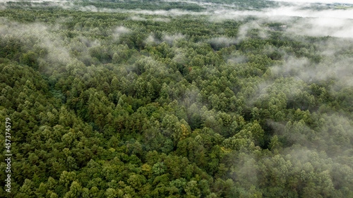 Clouds are generated from the forest seen from the sky