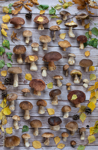 forest mushrooms and autumn leaves on a light wooden background
