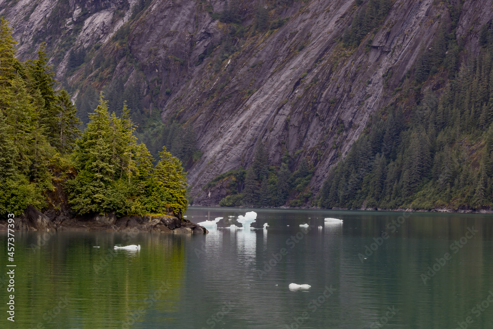 Scenic Alaska landscape of mountains, pine trees and ice floating in the water